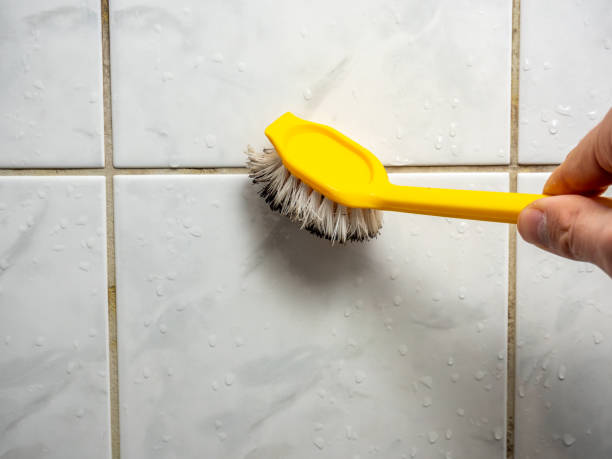 Best Residential Mold Remediation in Colorado City, AZ